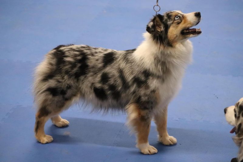 clay)_creeks_twister