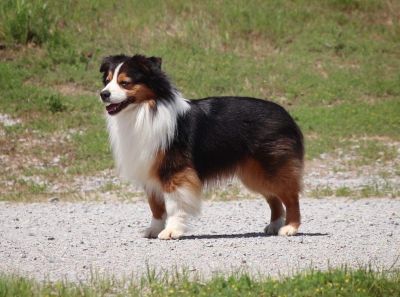 clay_creeks_trace_small